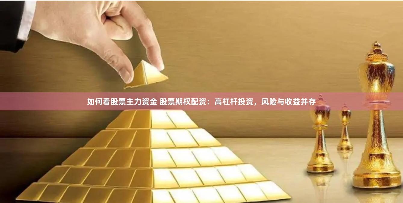如何看股票主力资金 股票期权配资：高杠杆投资，风险与收益并存